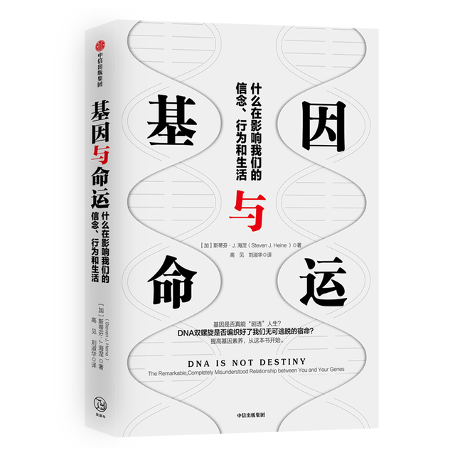 轩辕传奇手游礼包哪个app好？(手游传奇哪里强化？)缩略图